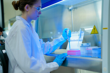 A scientist carefully uses a micropipette to transfer a liquid sample inside a biosafety cabinet. A...