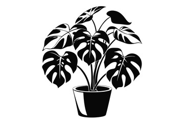 Black Potted Monstera Plant with Split Leaves on White Background Line Art Icon Style