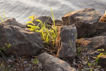 Few big stones on shore of lake at evening