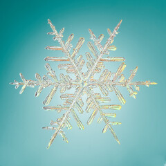 snowflake real winter natural macro crystal photo beautiful snowflake shape design