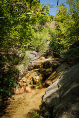 Hidden forest waterfall near Mtskheta, Georgia, surrounded by mossy rocks and green trees. Ideal for spa branding, eco-tourism content, or relaxing nature visuals