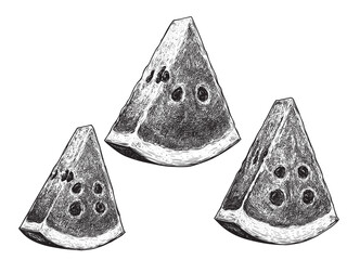 Vintage engraving illustration of whole watermelon with detailed slice