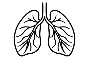 Detailed Lungs Outlined in Black on a White Background Anatomy