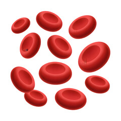 A cluster of red blood cells, or erythrocytes, isolated on a transparent background