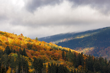 Mountain landscape in fall season with colorful forest on hills under cloudy sky creating autumn...