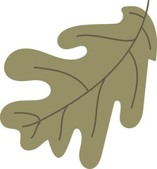 Abstract Oak Leaf