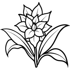 Hyacinth of the valley isolated on transparent background