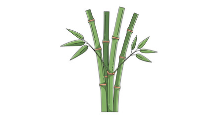 Obraz premium Charming bamboo stalk illustration, botanical simplicity and natural appeal