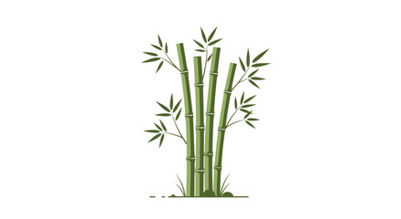 Fototapeta premium Tranquil vector illustration of bamboo grove on clean white background