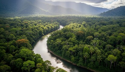 Fototapeta premium Aerial view of winding river through lush forest