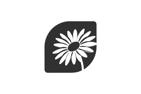 Daisy illustration shines brightly against a dark rounded leaf shape elegantly
