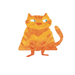 Red cat with blue eyes isolated