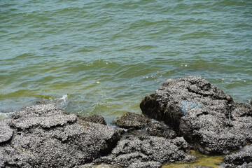 Sea view with waves crashing against the rocks