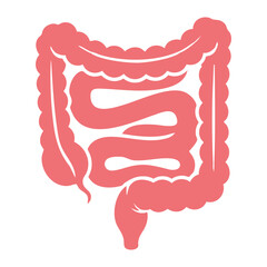 Illustration of Large and Small Intestine