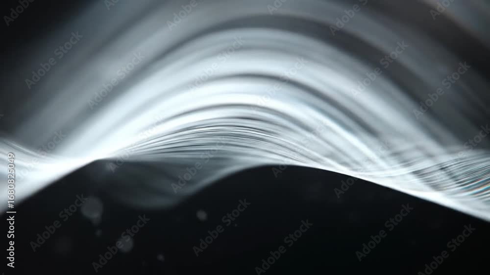 Poster abstract white waveforms flowing on black background - motion graphics element