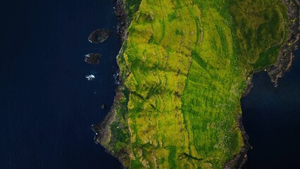 green © А Васильев