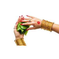 A woman ' s hand holding a green leaf - Transparent Background