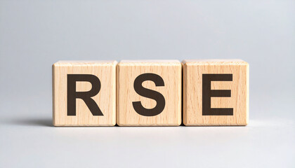 Wood cubes with abbreviation text RSE. Responsible Sex Education. Reliability and Safety Engineering