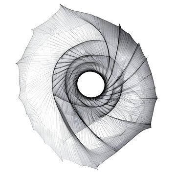 Organic black line mesh forming a shell spiral, isolated on white background