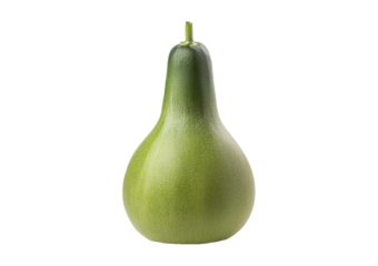 Ash gourd side view full length Isolated on Transparent or White Background.