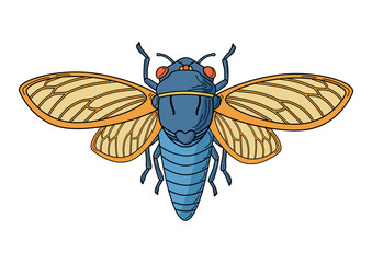 Colorful  beauty singer cicada insect graphic. A symbol of longevity and rebirth in China, Japan, Greece and other countries. Illustration for nature, education, and children's projects.