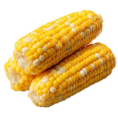 corn cobs on transparent png background