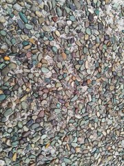The surface texture of the cement wall is layered with small, colorful pebbles, displaying a natural pattern with shades of green, brown, and gray. Suitable as a background, building material, design
