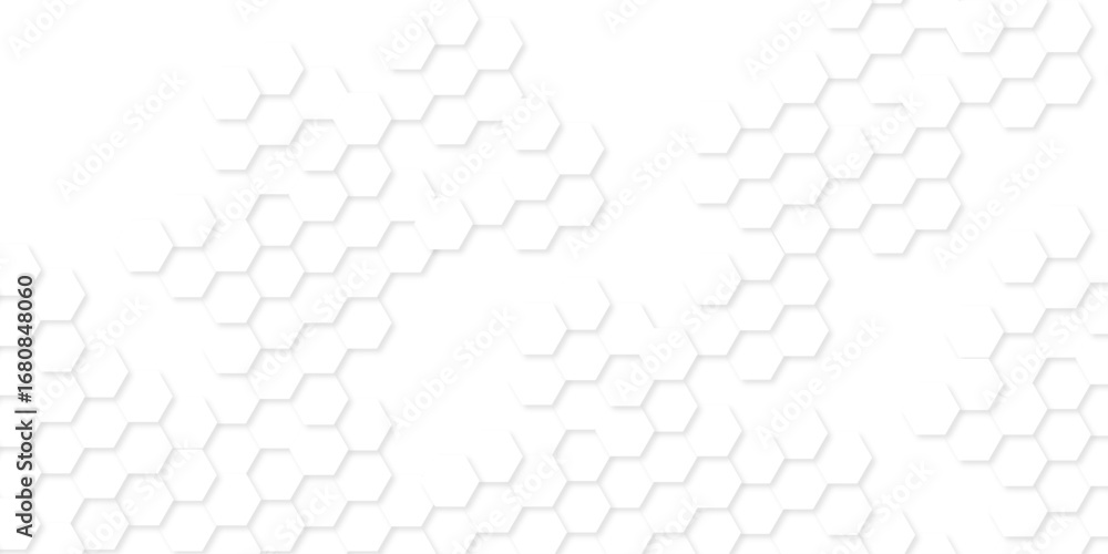 Poster background with hexagons . abstract background with lines . white texture background . hexagon abstr