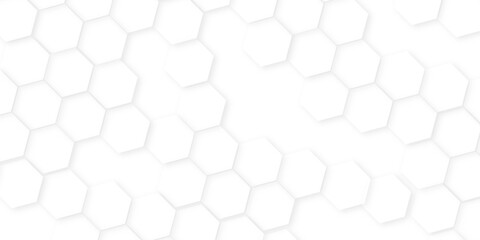 Naklejka premium Abstract background with hexagon, modern abstract vector polygonal pattern. Futuristic honeycomb mosaic white background,white and gray hexagon honeycomb geometric copy space.