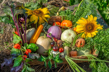 Vibrant basket of fresh veggies
