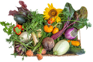 Fresh harvest of colorful vegetables and flowers