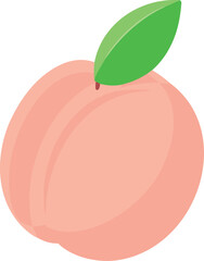 A ripe peach displayed on a clean white background, highlighting its smooth skin and warm color