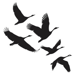 Fototapeta premium Vector art of silhouette of cranes in flight, showcasing their graceful wings and the beauty of migration in a simple yet elegant design