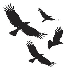 Obraz premium Vector art of a group of eagles in silhouette soaring through the sky, , representing freedom, power, and the beauty of wildlife