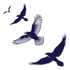 Obraz premium Illustration of a group of birds flying, , featuring eagles, ravens, and seagulls in silhouette, representing freedom and nature
