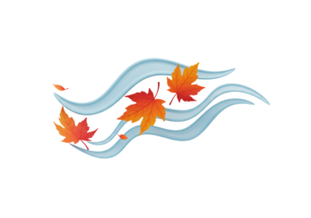 Isolated maple leaves blowing in autumn wind, fall weather season, breeze, weather forecast