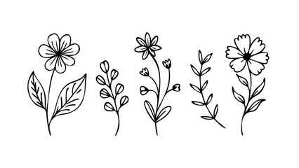 Delicate floral stem with leaves flower botanical