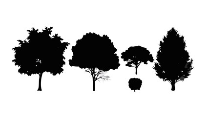 Diverse Trees Silhouette forest nature © rabbi