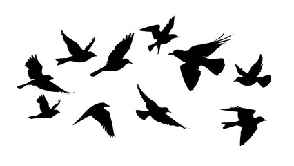 Flock of Birds in Flight flying silhouette