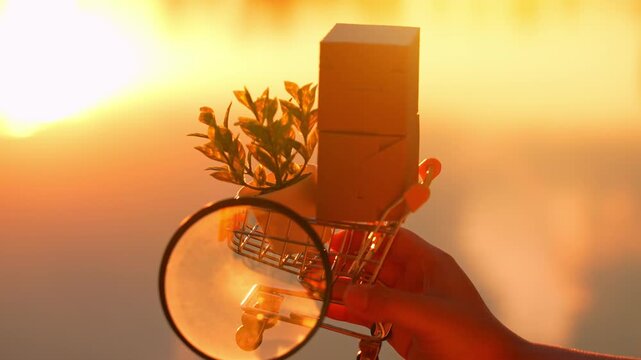 Inspecting products in an E-commerce cart with a magnifying glass represents quality assurance, attention to detail, consumer trust, transparency, and sustainable purchasing in online marketplaces.
