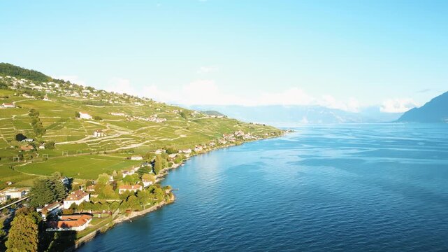 Aerial view of vineyards cascading down to the tranquil lake, juxtaposed against the clear blue sky and distant snow-capped mountains, Lutry, Vaud, Switzerland.