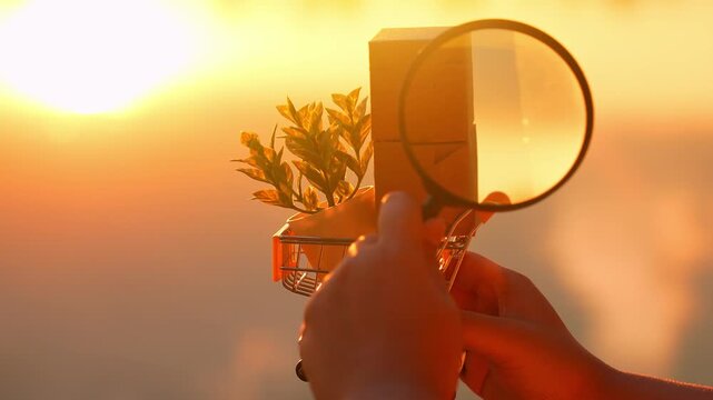 Carefully inspecting E-commerce products with a magnifying glass reflects a focus on quality, transparency, detailed product reviews, buyer awareness, and the power of informed online shopping.
