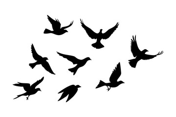 Obraz premium Vector art of silhouette of birds flying, a symbol of freedom and nature, perfect for wildlife and design projects, vector illustration