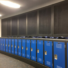 Modern Blue Lockers in Minimalist Interior:  Clean, Organized Storage Space.