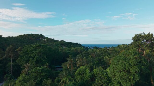  Chalok Baan Kao, Koh Tao, Thailand Aerial drone flyover jungle, sand blue turquoise water.