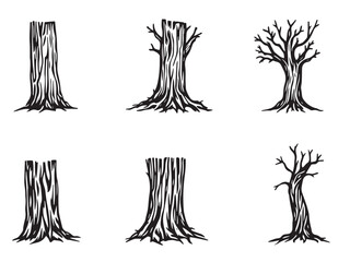 Tree Trunk Outline Sketch