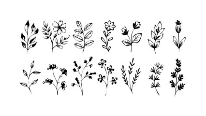 Rough Ink Brush Floral Elements organic botanical