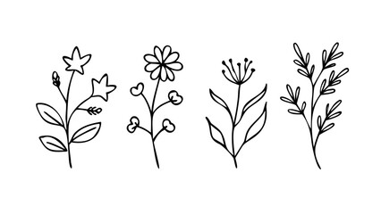 Simple Line Floral Doodle line art botanical