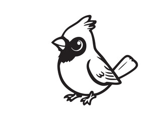 Cardinal vector line art 
