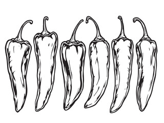 chili pepper line art illustration